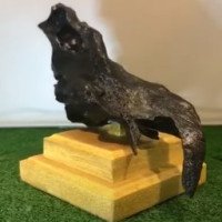 7.6.4 黑金皇高端風水藝術品 (高13cm x 闊 15cm)