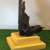 7.6.5 黑金皇高端風水藝術品 (高15cm x 闊 13cm)